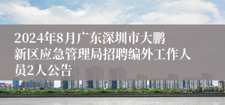 2024年8月广东深圳市大鹏新区应急管理局招聘编外工作人员2人公告