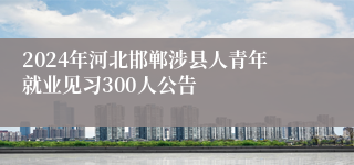 2024年河北邯郸涉县人青年就业见习300人公告