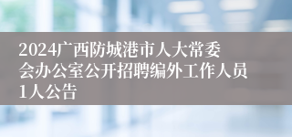 2024广西防城港市人大常委会办公室公开招聘编外工作人员1人公告