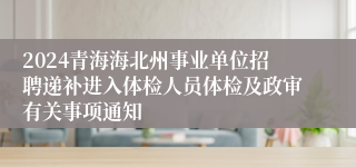 2024青海海北州事业单位招聘递补进入体检人员体检及政审有关事项通知