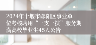 2024年十堰市郧阳区事业单位考核聘用“三支一扶”服务期满高校毕业生45人公告