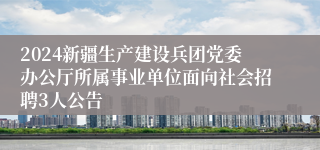 2024新疆生产建设兵团党委办公厅所属事业单位面向社会招聘3人公告