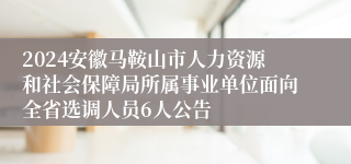 2024安徽马鞍山市人力资源和社会保障局所属事业单位面向全省选调人员6人公告