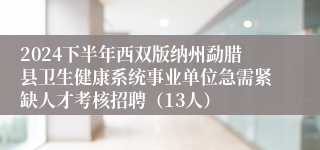 2024下半年西双版纳州勐腊县卫生健康系统事业单位急需紧缺人才考核招聘（13人）