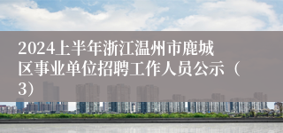 2024上半年浙江温州市鹿城区事业单位招聘工作人员公示（3）