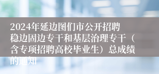 2024年延边图们市公开招聘稳边固边专干和基层治理专干（含专项招聘高校毕业生）总成绩的通知