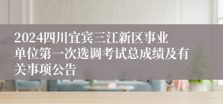 2024四川宜宾三江新区事业单位第一次选调考试总成绩及有关事项公告