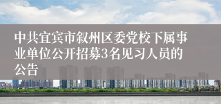 中共宜宾市叙州区委党校下属事业单位公开招募3名见习人员的公告