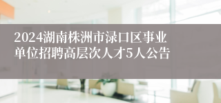 2024湖南株洲市渌口区事业单位招聘高层次人才5人公告