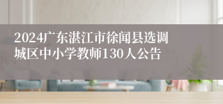 2024广东湛江市徐闻县选调城区中小学教师130人公告