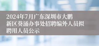 2024年7月广东深圳市大鹏新区葵涌办事处招聘编外人员拟聘用人员公示