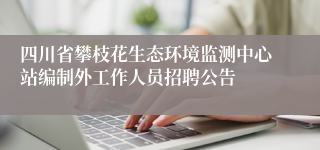 四川省攀枝花生态环境监测中心站编制外工作人员招聘公告