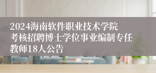 2024海南软件职业技术学院考核招聘博士学位事业编制专任教师18人公告