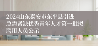 2024山东泰安市东平县引进急需紧缺优秀青年人才第一批拟聘用人员公示