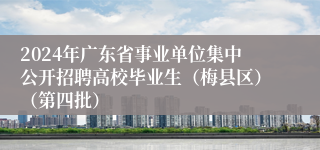 2024年广东省事业单位集中公开招聘高校毕业生（梅县区）（第四批）