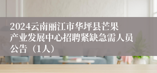 2024云南丽江市华坪县芒果产业发展中心招聘紧缺急需人员公告（1人）