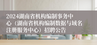 2024湖南省机构编制事务中心（湖南省机构编制数据与域名注册服务中心）招聘公告