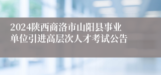 2024陕西商洛市山阳县事业单位引进高层次人才考试公告