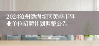 2024沧州渤海新区黄骅市事业单位招聘计划调整公告