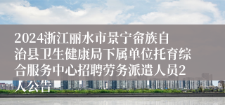 2024浙江丽水市景宁畲族自治县卫生健康局下属单位托育综合服务中心招聘劳务派遣人员2人公告