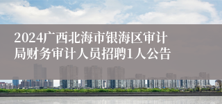 2024广西北海市银海区审计局财务审计人员招聘1人公告