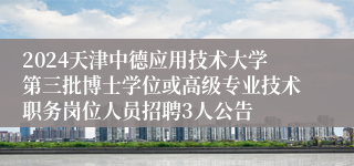 2024天津中德应用技术大学第三批博士学位或高级专业技术职务岗位人员招聘3人公告