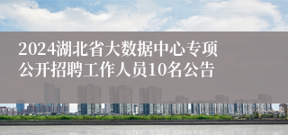 2024湖北省大数据中心专项公开招聘工作人员10名公告