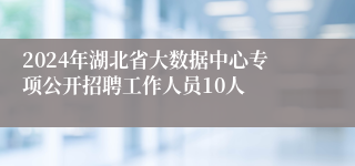 2024年湖北省大数据中心专项公开招聘工作人员10人