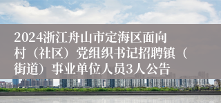 2024浙江舟山市定海区面向村（社区）党组织书记招聘镇（街道）事业单位人员3人公告