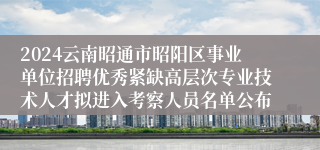 2024云南昭通市昭阳区事业单位招聘优秀紧缺高层次专业技术人才拟进入考察人员名单公布