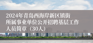 2024年青岛西海岸新区镇街所属事业单位公开招聘基层工作人员简章（30人）