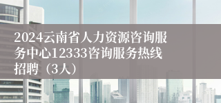 2024云南省人力资源咨询服务中心12333咨询服务热线招聘（3人）