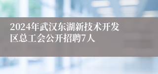 2024年武汉东湖新技术开发区总工会公开招聘7人