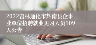 2022吉林通化市辉南县企事业单位招聘就业见习人员109人公告