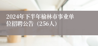 2024年下半年榆林市事业单位招聘公告（256人）