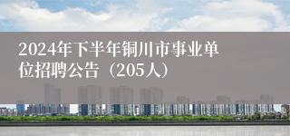 2024年下半年铜川市事业单位招聘公告（205人）