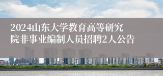 2024山东大学教育高等研究院非事业编制人员招聘2人公告