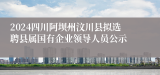 2024四川阿坝州汶川县拟选聘县属国有企业领导人员公示