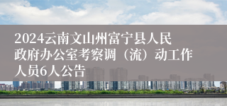 2024云南文山州富宁县人民政府办公室考察调（流）动工作人员6人公告