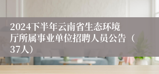 2024下半年云南省生态环境厅所属事业单位招聘人员公告（37人）