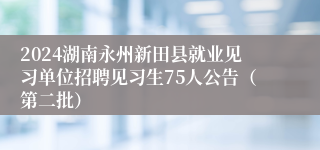 2024湖南永州新田县就业见习单位招聘见习生75人公告（第二批）