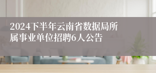 2024下半年云南省数据局所属事业单位招聘6人公告