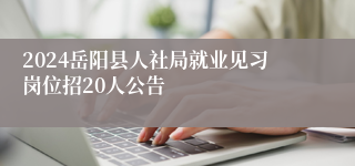 2024岳阳县人社局就业见习岗位招20人公告