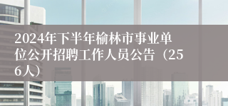 2024年下半年榆林市事业单位公开招聘工作人员公告（256人）