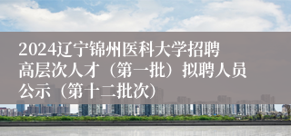 2024辽宁锦州医科大学招聘高层次人才（第一批）拟聘人员公示（第十二批次）