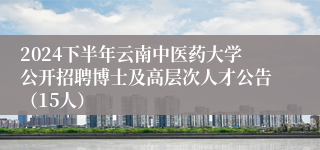 2024下半年云南中医药大学公开招聘博士及高层次人才公告（15人）