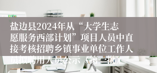 盐边县2024年从“大学生志愿服务西部计划”项目人员中直接考核招聘乡镇事业单位工作人员拟聘用人员公示（第一批）