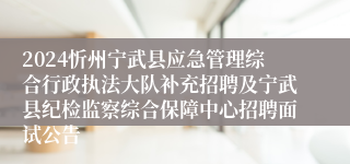 2024忻州宁武县应急管理综合行政执法大队补充招聘及宁武县纪检监察综合保障中心招聘面试公告