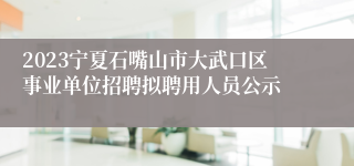 2023宁夏石嘴山市大武口区事业单位招聘拟聘用人员公示