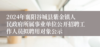 2024年襄阳谷城县紫金镇人民政府所属事业单位公开招聘工作人员拟聘用对象公示